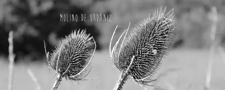 Molino de Urdániz