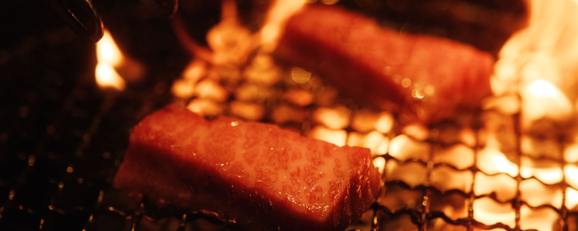 路易奇電力公司 台中電廠 路易奇電力公司 台中電廠