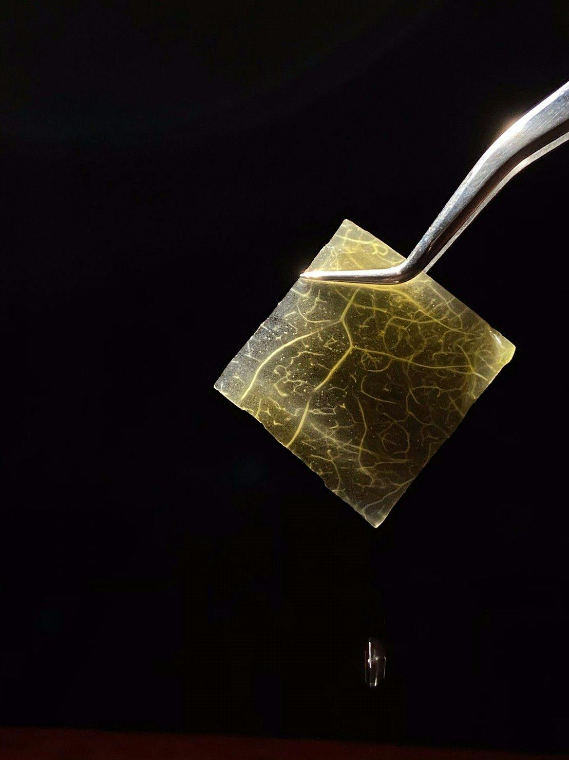 Under Lab unDer lab | 立即訂位!inline 線上訂位預約