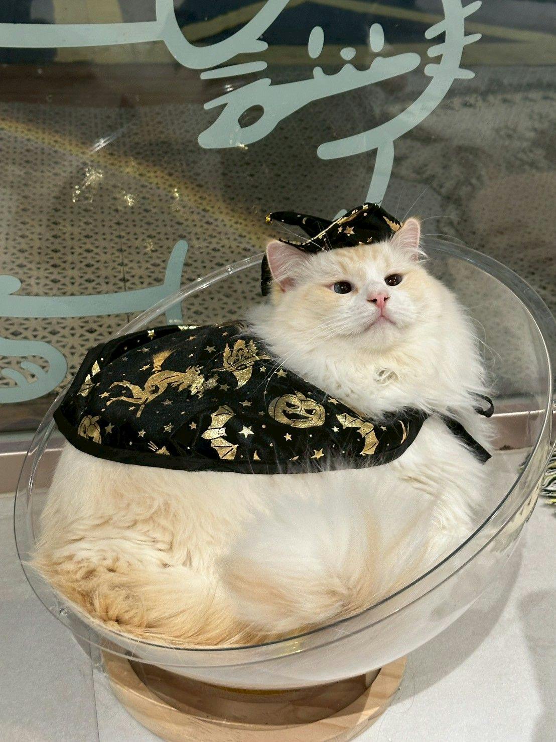菜單