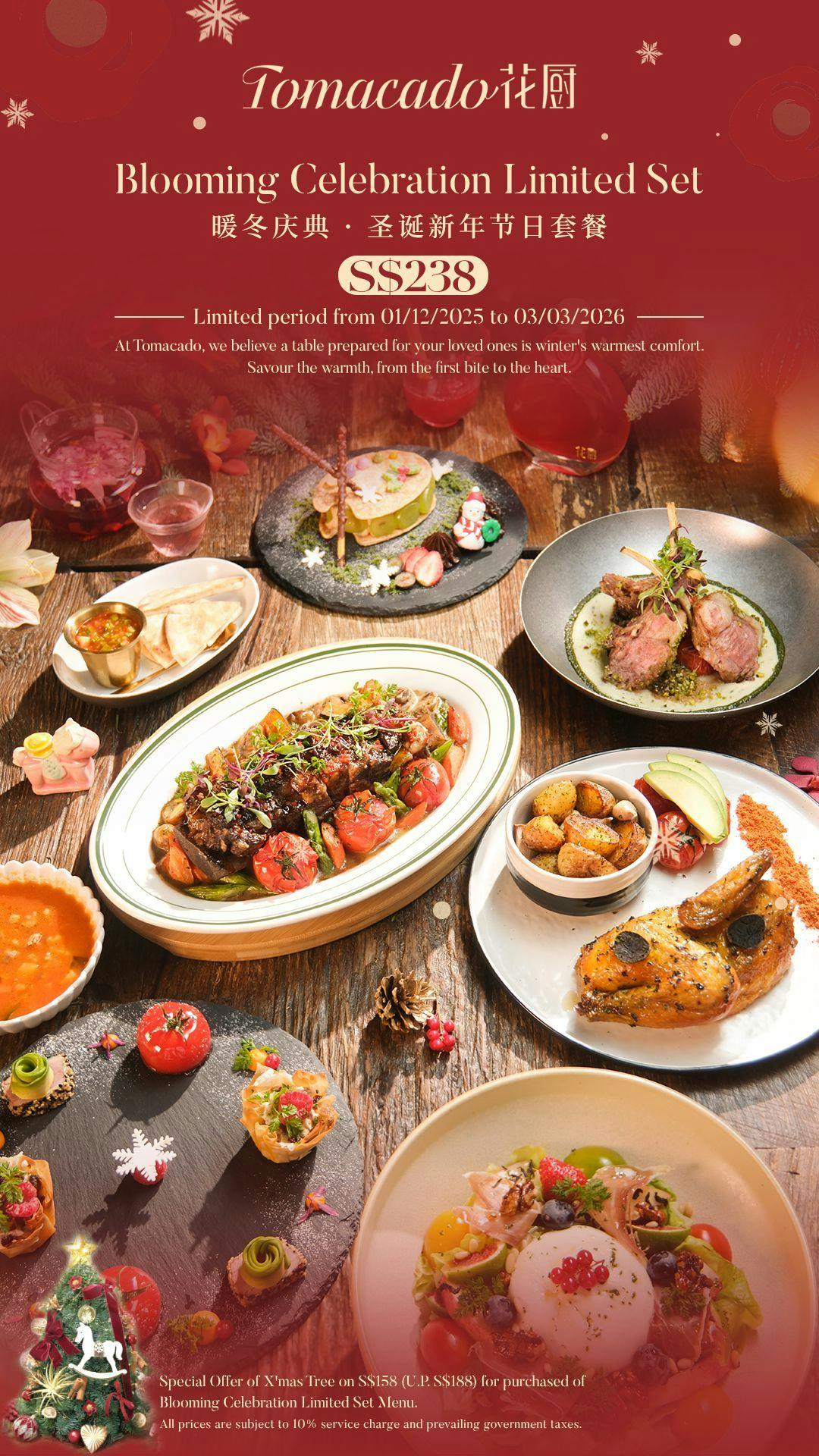 Tomacado 花厨 - Paragon Singapore | Book Now! - inline online bookings